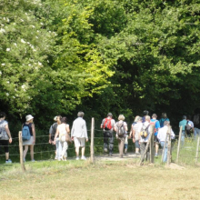 Activités du Foyer rural de Grisy-les-Plâtres. (3) 