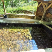 Foyer rural de Grisy-les-Plâtres : un très beau et indispensable nettoyage de printemps !