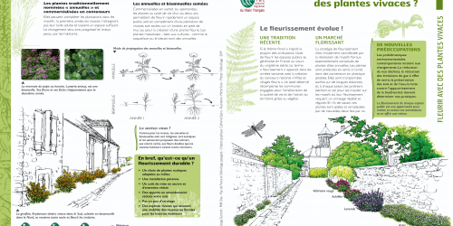 Fleurir avec des plantes vivaces